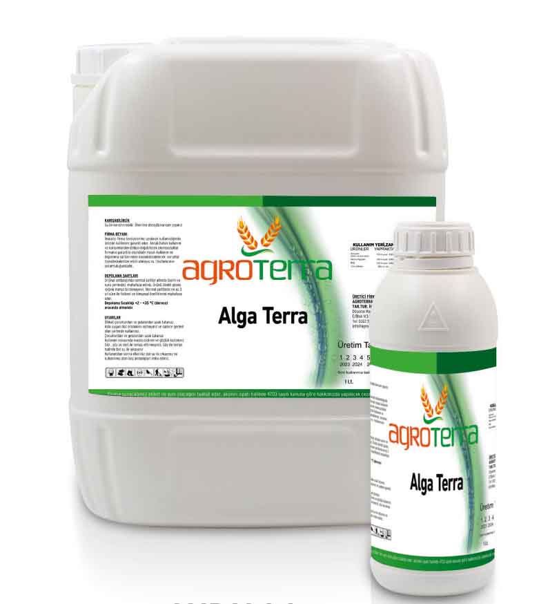 Alga Terra
